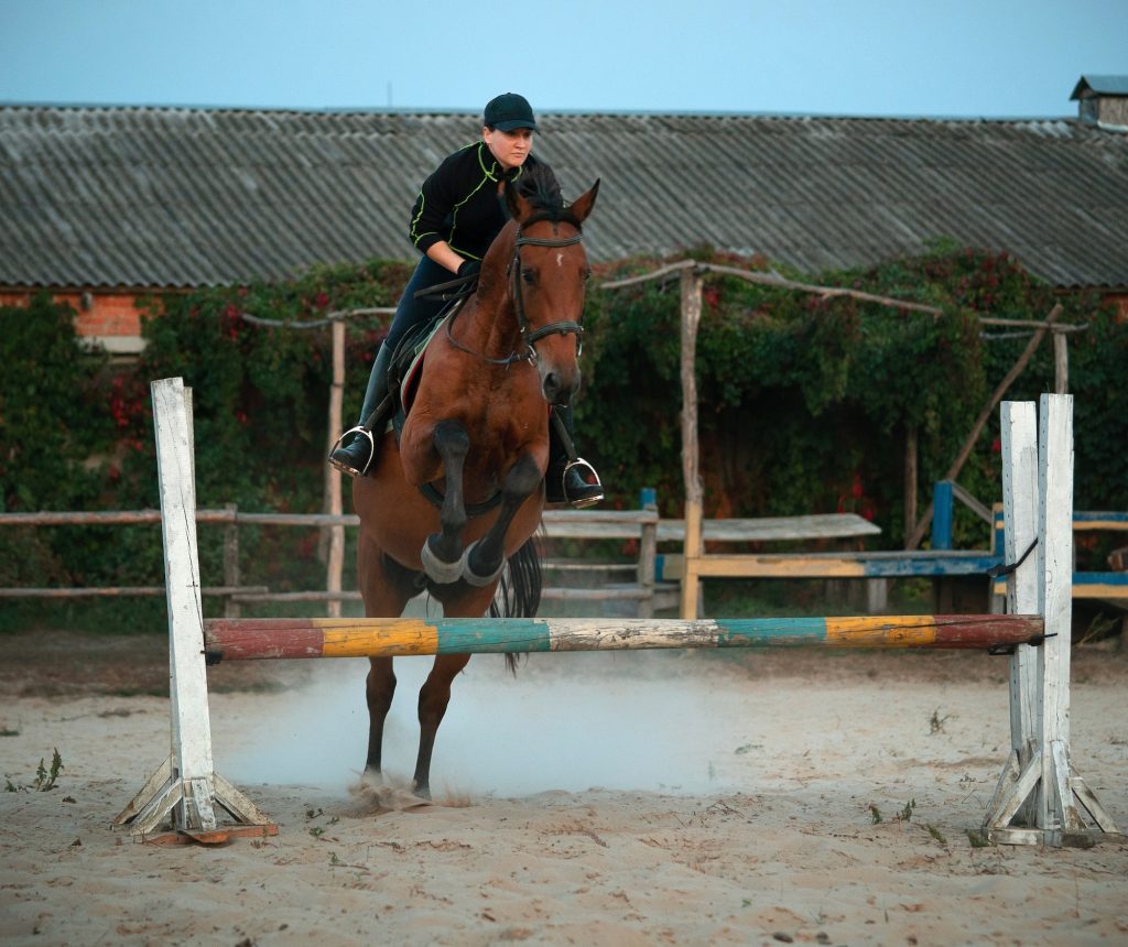 The Role of Horsemanship in Horse Riding