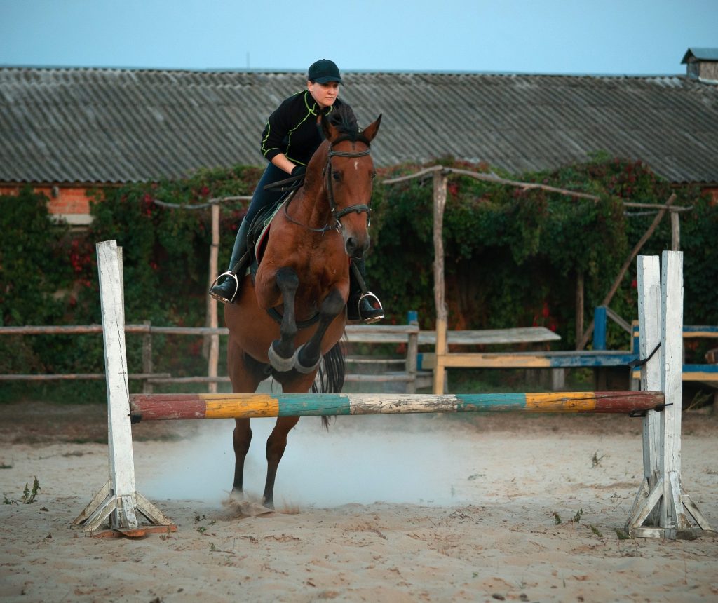 The Role of Horsemanship in Horse Riding The Role of Horsemanship in Horse Riding