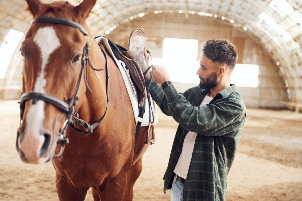 Process of preparation the animal for a ride. Young man with a horse is in the hangar
