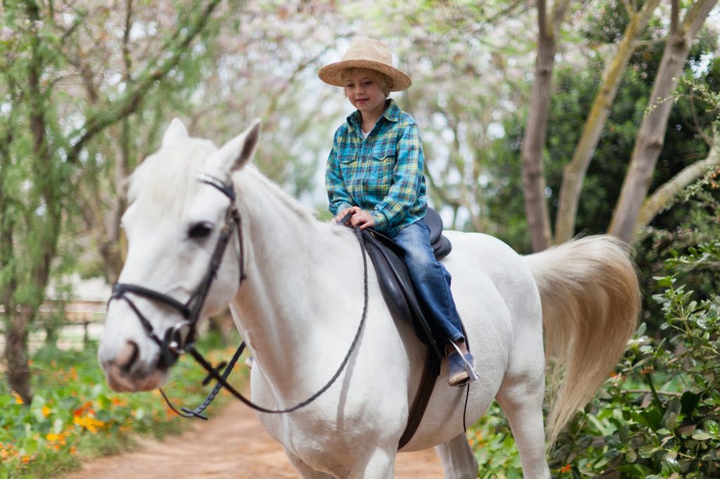 Smiling boy riding horse in park
