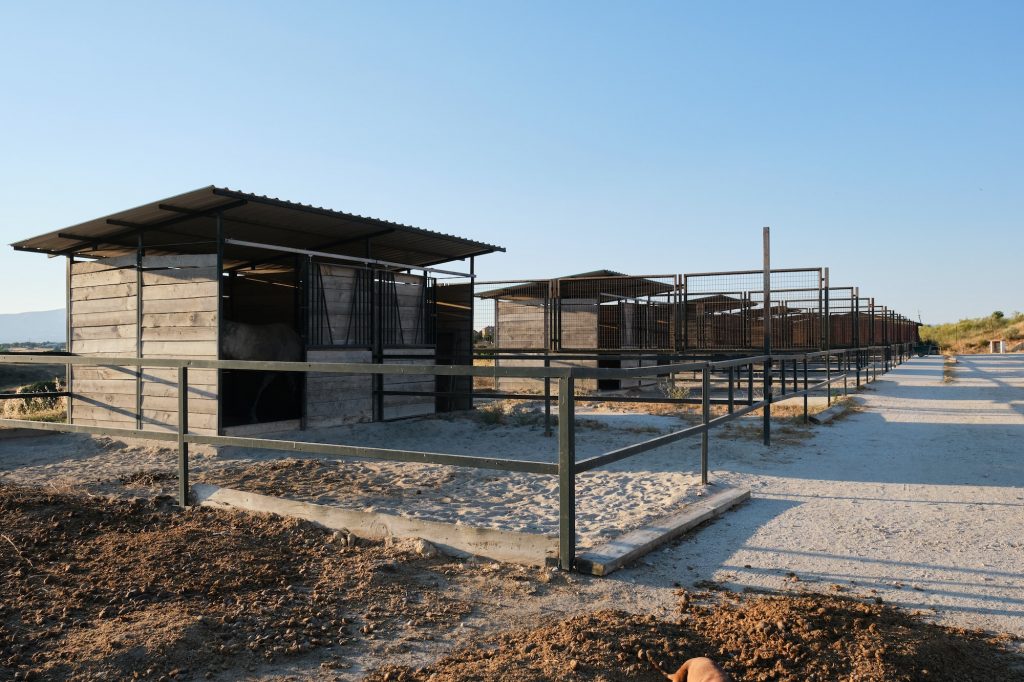 View of a ranch with horses.