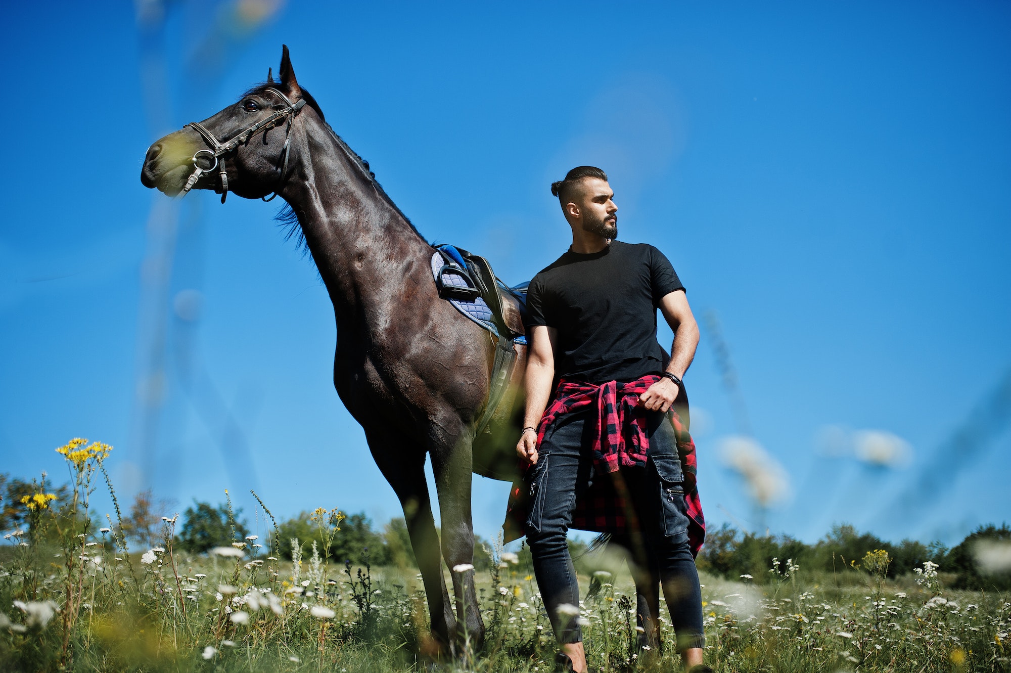 The Different Types Of Horse Breeds And Their Characteristics