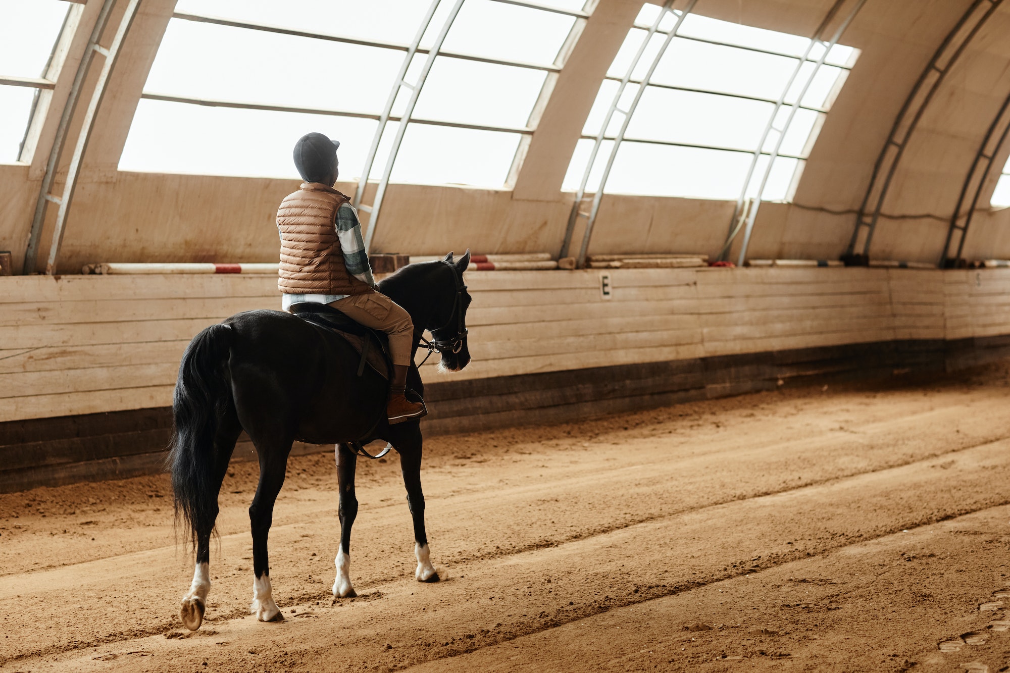 Horse Training Techniques For Beginners