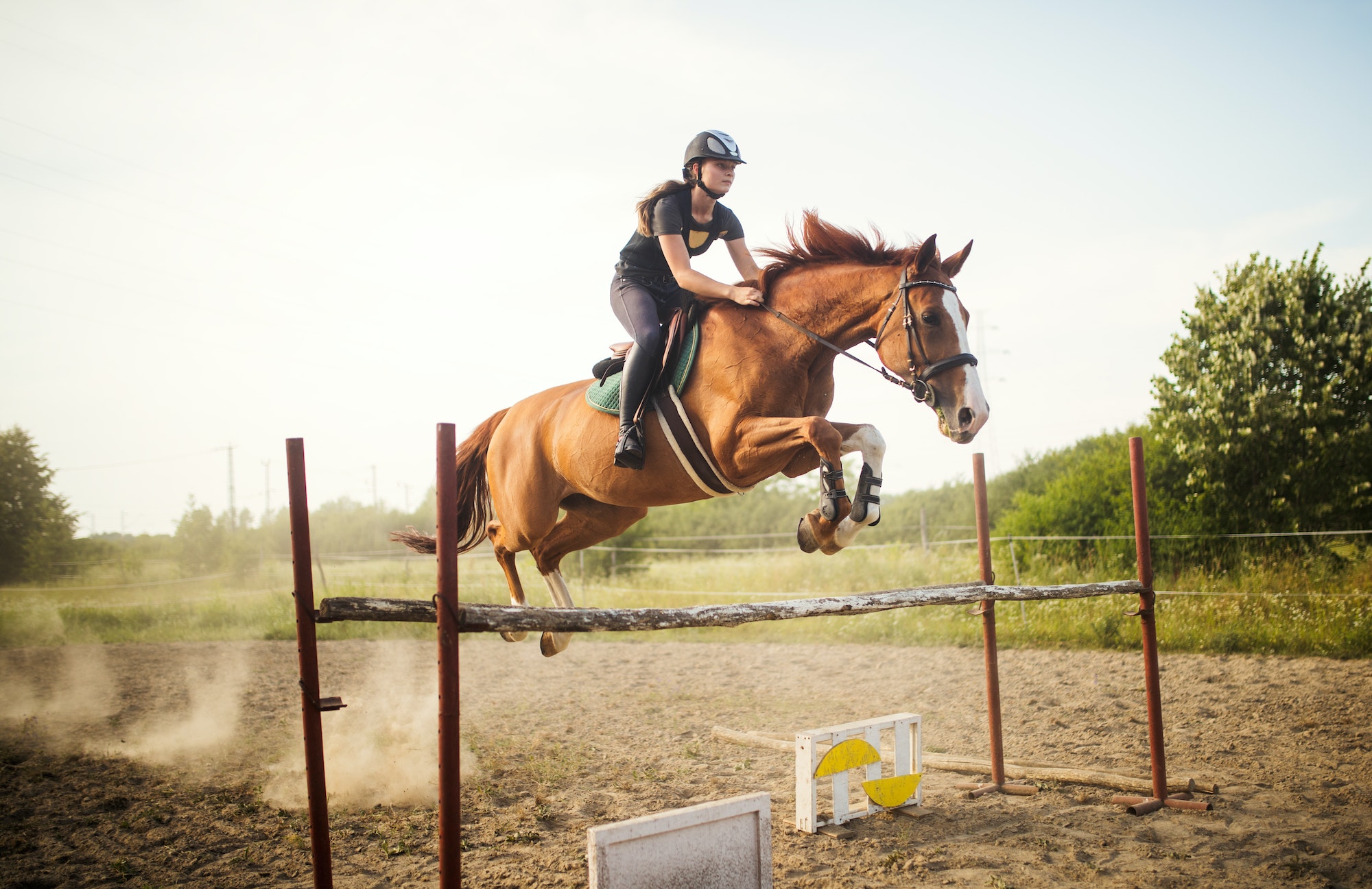 The Different Disciplines Of Horse Riding And How To Get Involved