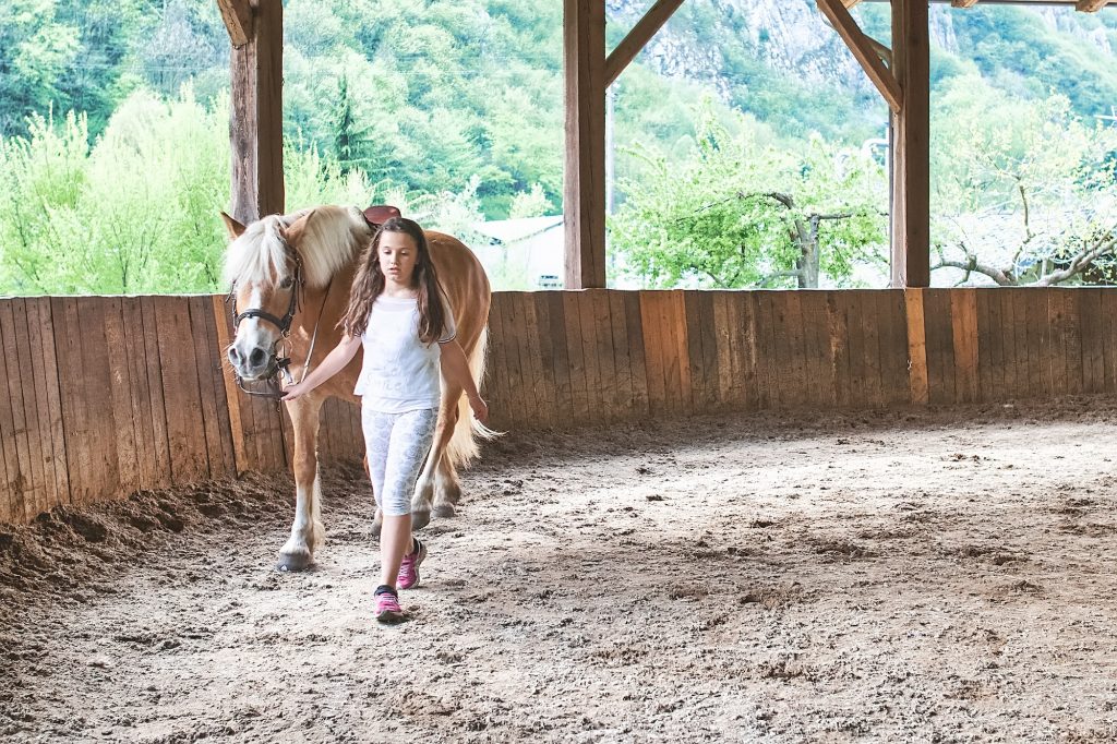 How to Ride a Horse Like a Pro in Just 30 Days