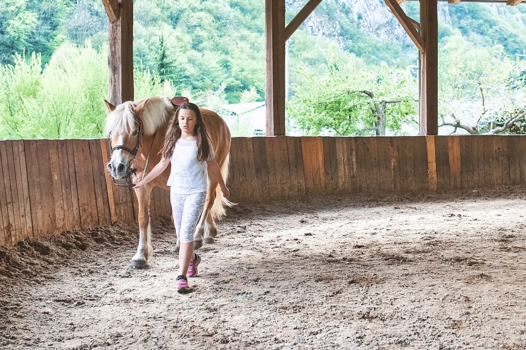 How to Ride a Horse Like a Pro in Just 30 Days How to Ride a Horse Like a Pro in Just 30 Days