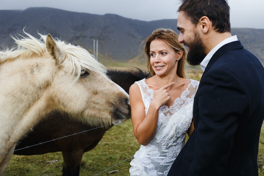 How to Overcome Your Fear of Horse Riding: 10 Tips How to Overcome Your Fear of Horse Riding: 10 Tips