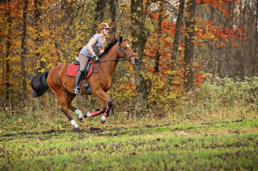 Why Horse Riding is the Perfect Form of Exercise Why Horse Riding is the Perfect Form of Exercise